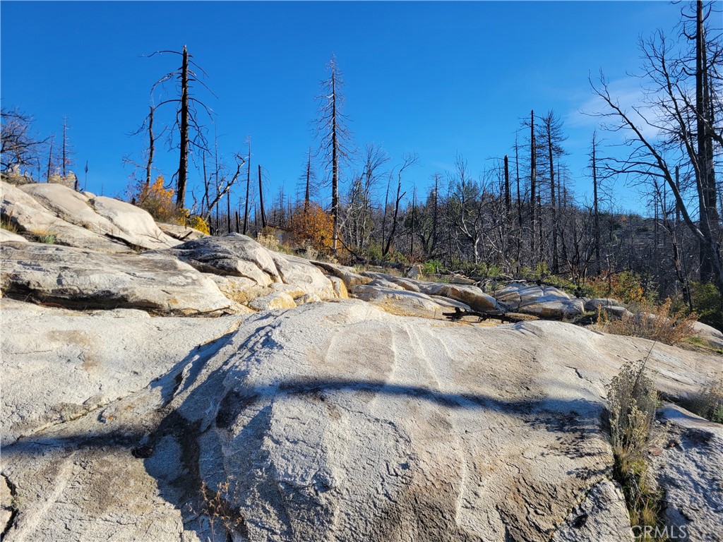 161 Shadow Creek Road Berry Creek, CA 95916 - Photo 7 of 22 a view of a backyard of a house
