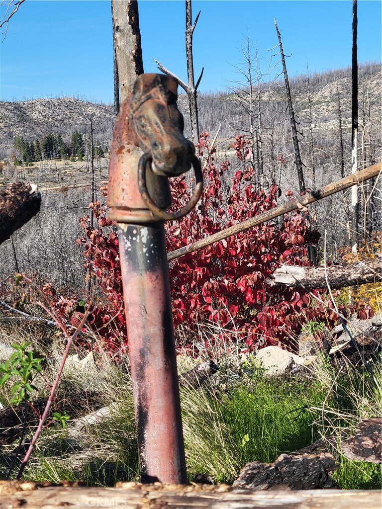 161 Shadow Creek Road Berry Creek, CA 95916 - Photo 8 of 22