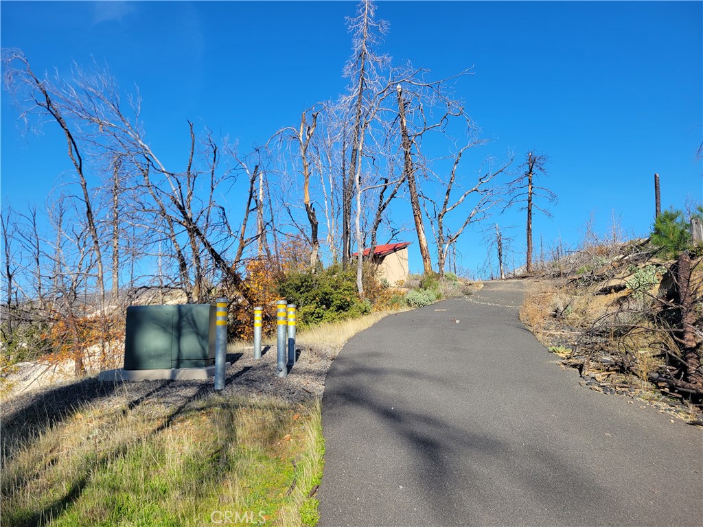 161 Shadow Creek Road Berry Creek, CA 95916 - Photo 9 of 22 a view of swimming pool with a yard