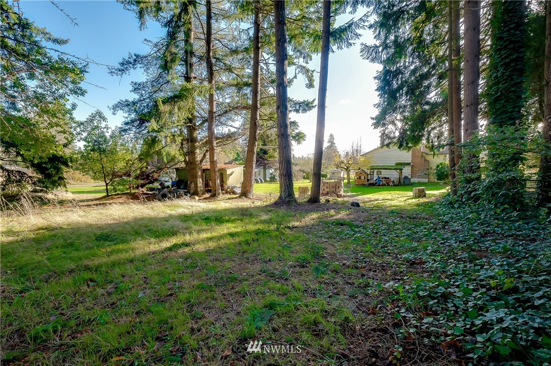 3530 Pine Road Bremerton, WA 98310 - Photo 4 of 34 a view of yard with green space