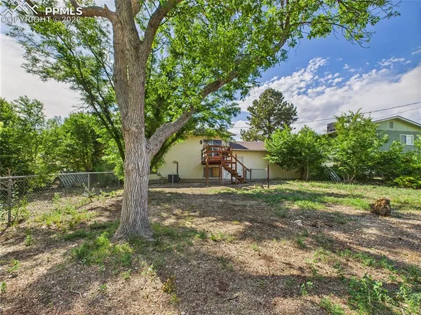 a view of a tree in the middle of a yard