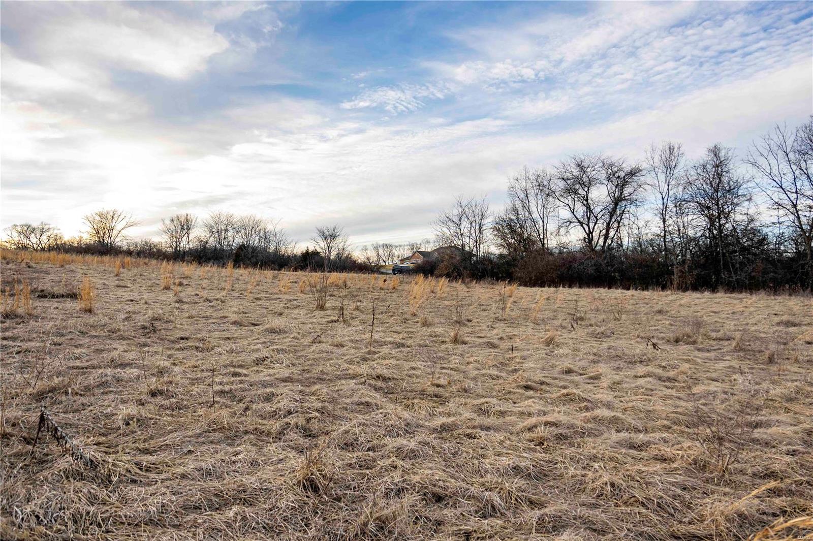 60 Spring House Lane Troy, MO 63379 - Photo 15 of 45