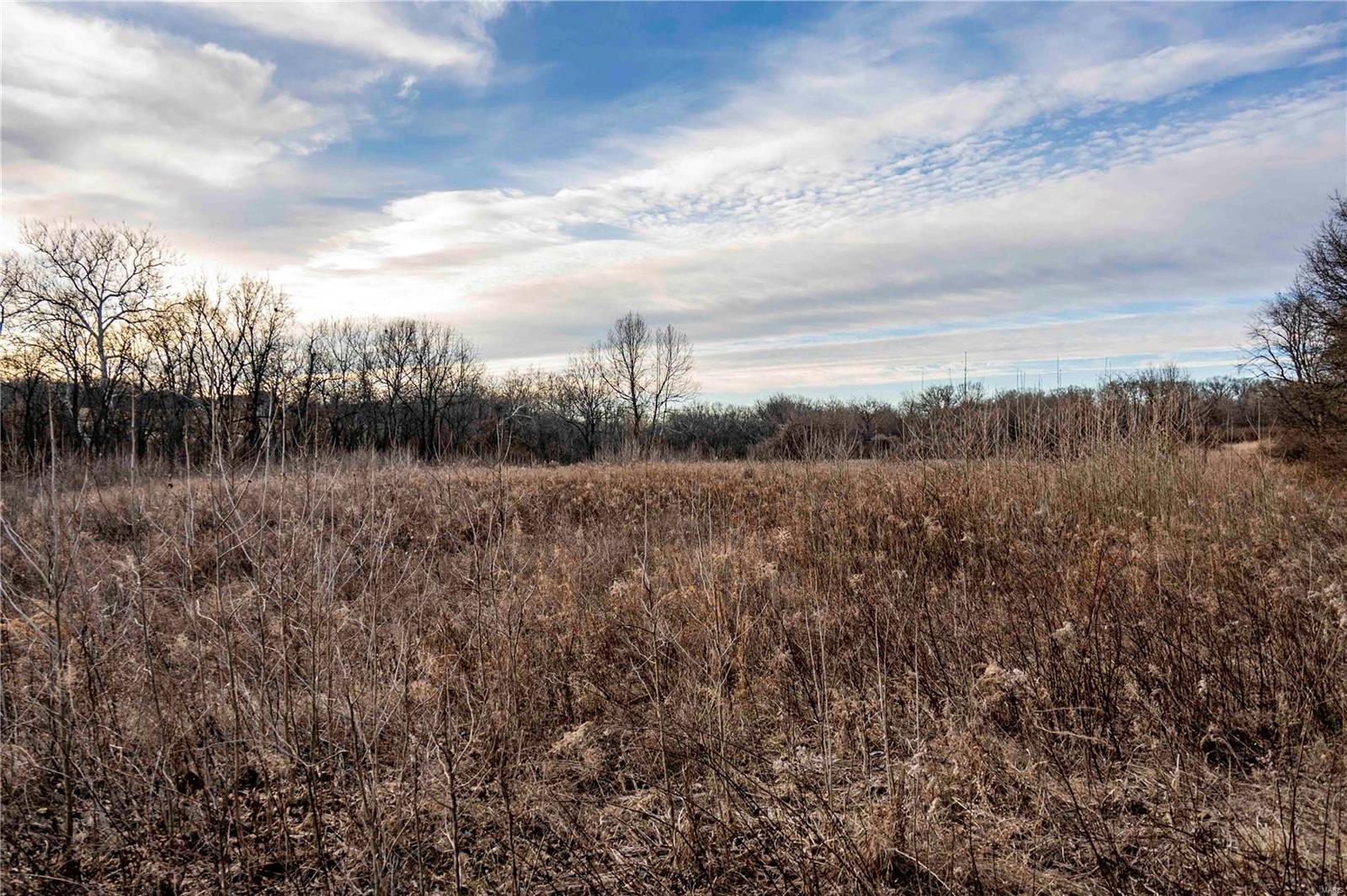 60 Spring House Lane Troy, MO 63379 - Photo 21 of 45