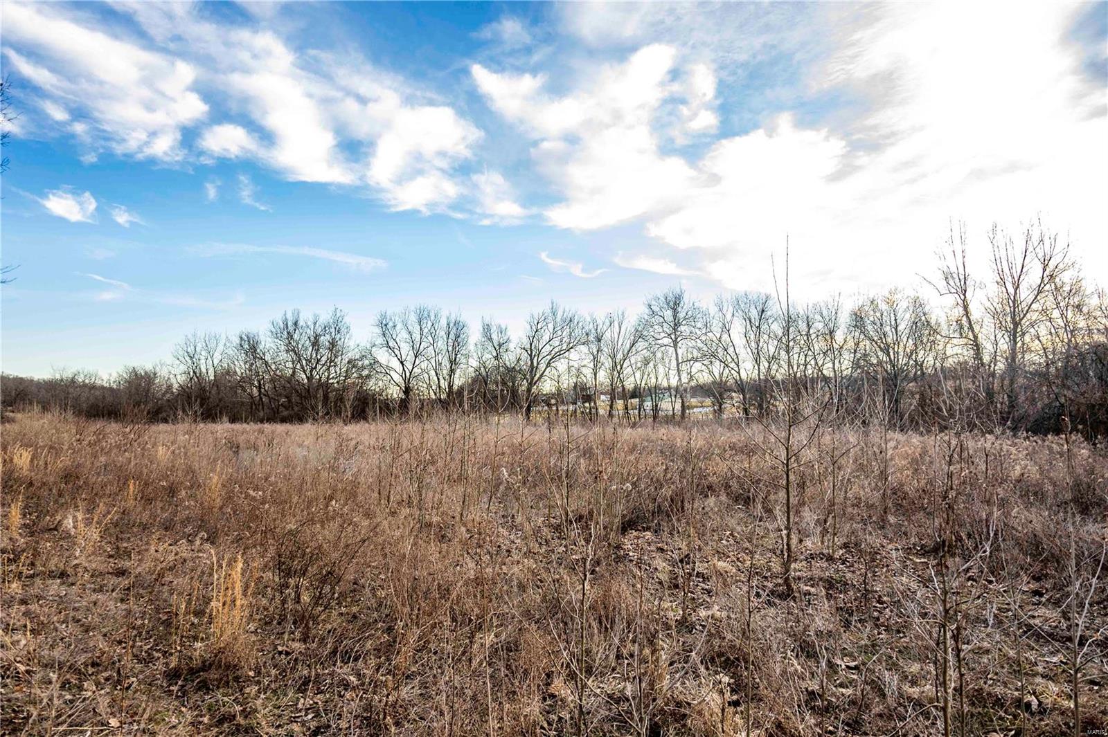 60 Spring House Lane Troy, MO 63379 - Photo 27 of 45