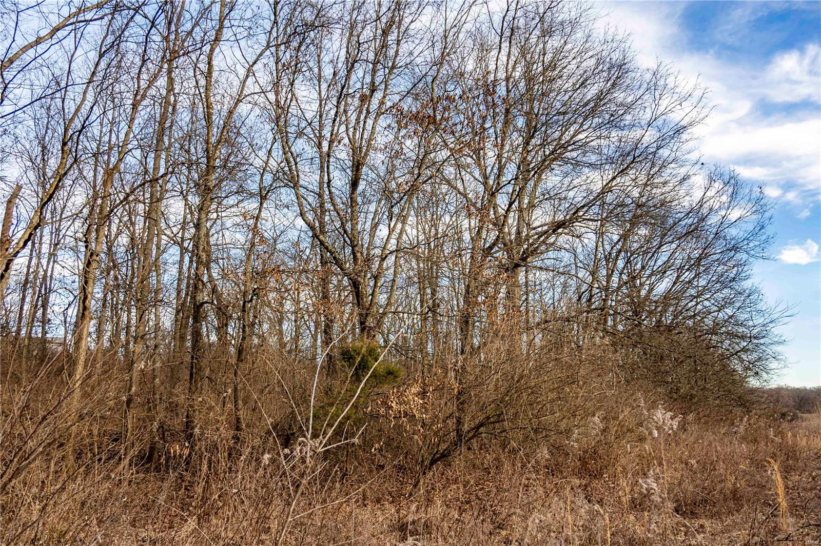 60 Spring House Lane Troy, MO 63379 - Photo 28 of 45