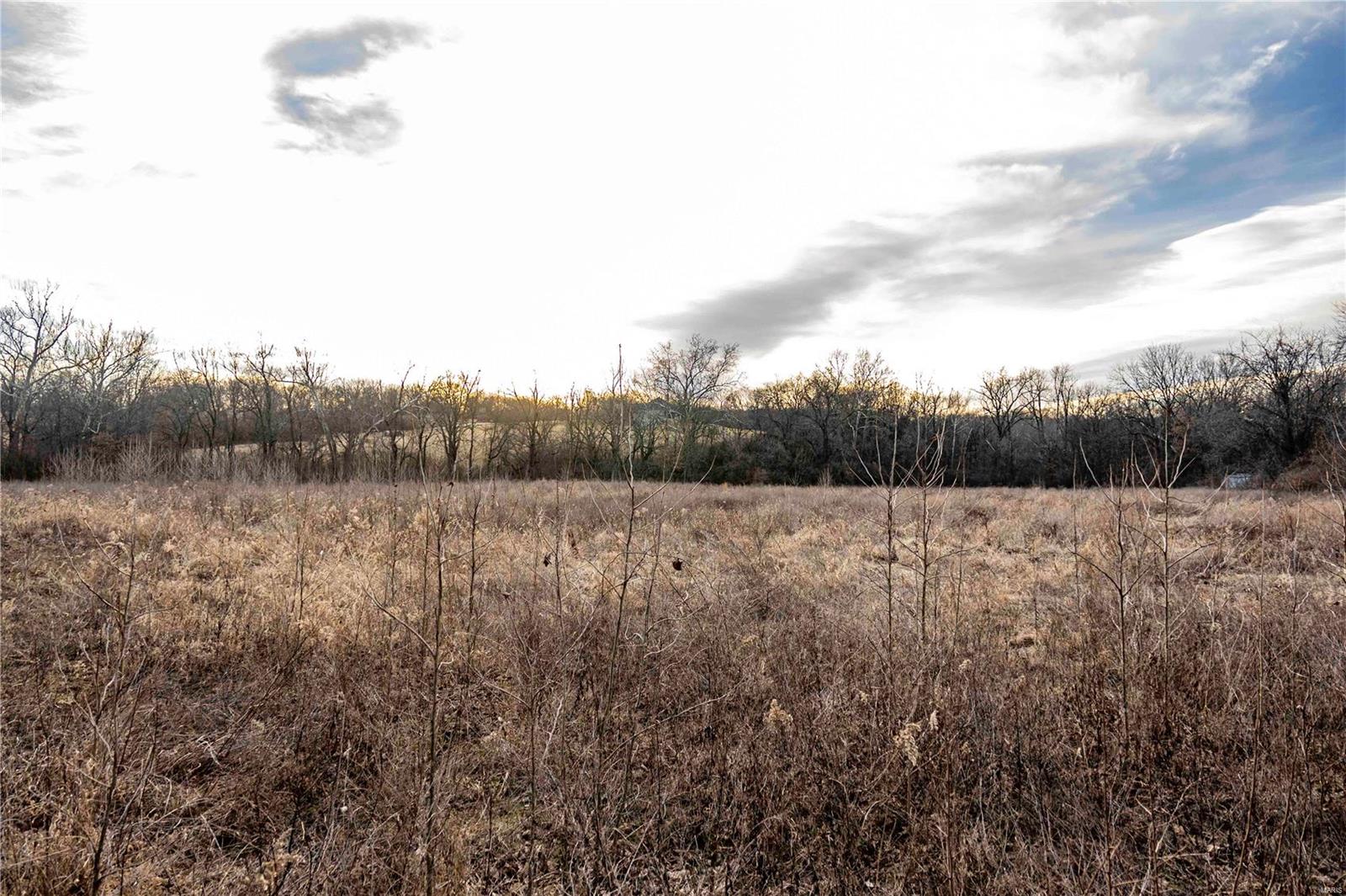 60 Spring House Lane Troy, MO 63379 - Photo 29 of 45