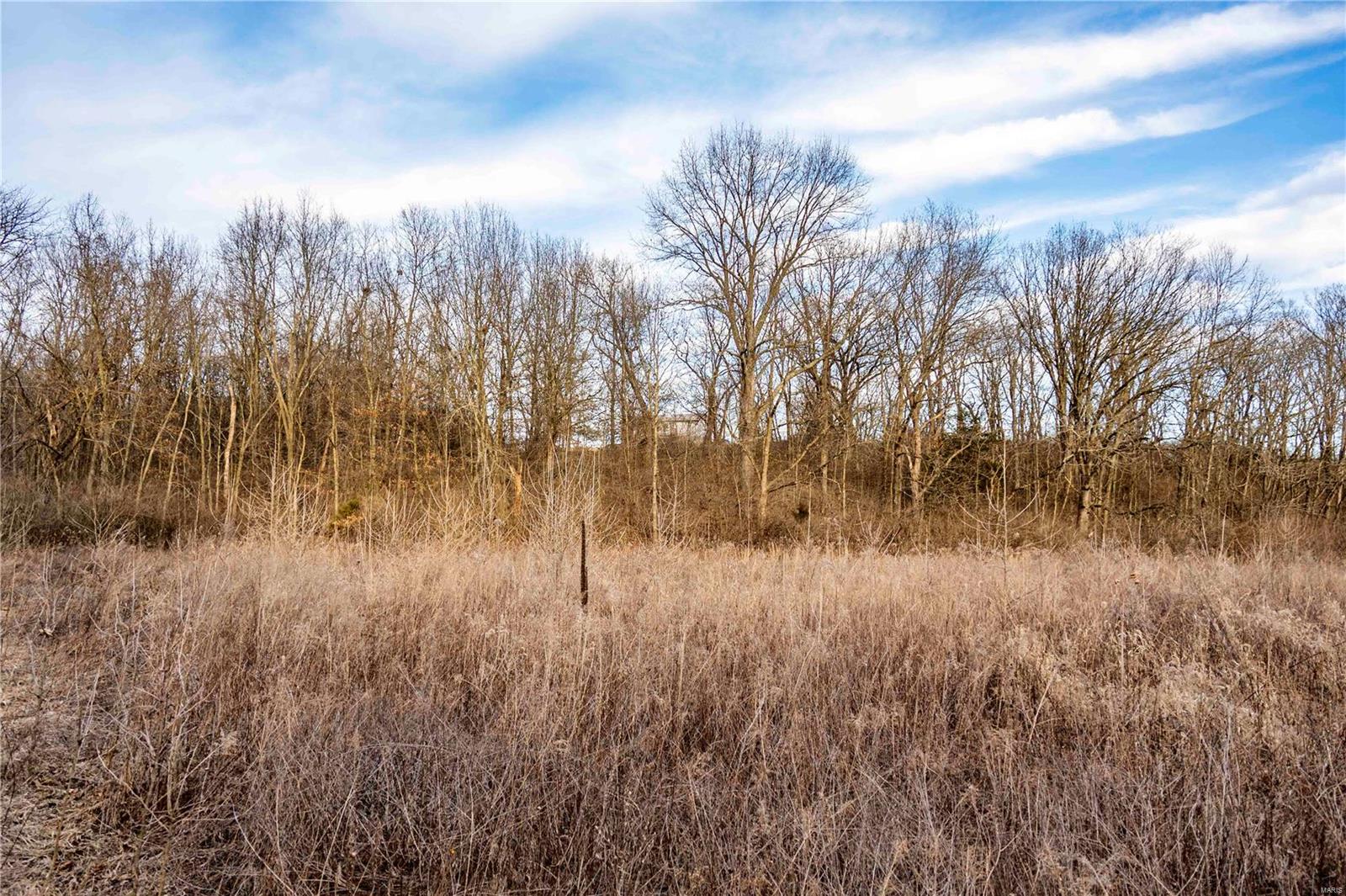 60 Spring House Lane Troy, MO 63379 - Photo 30 of 45