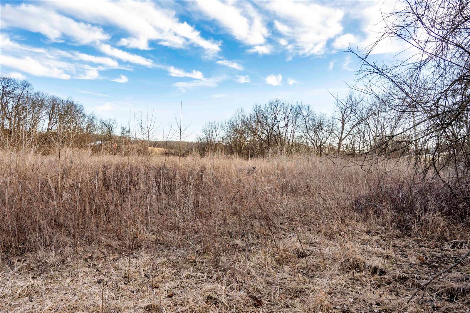 60 Spring House Lane Troy, MO 63379 - Photo 31 of 45