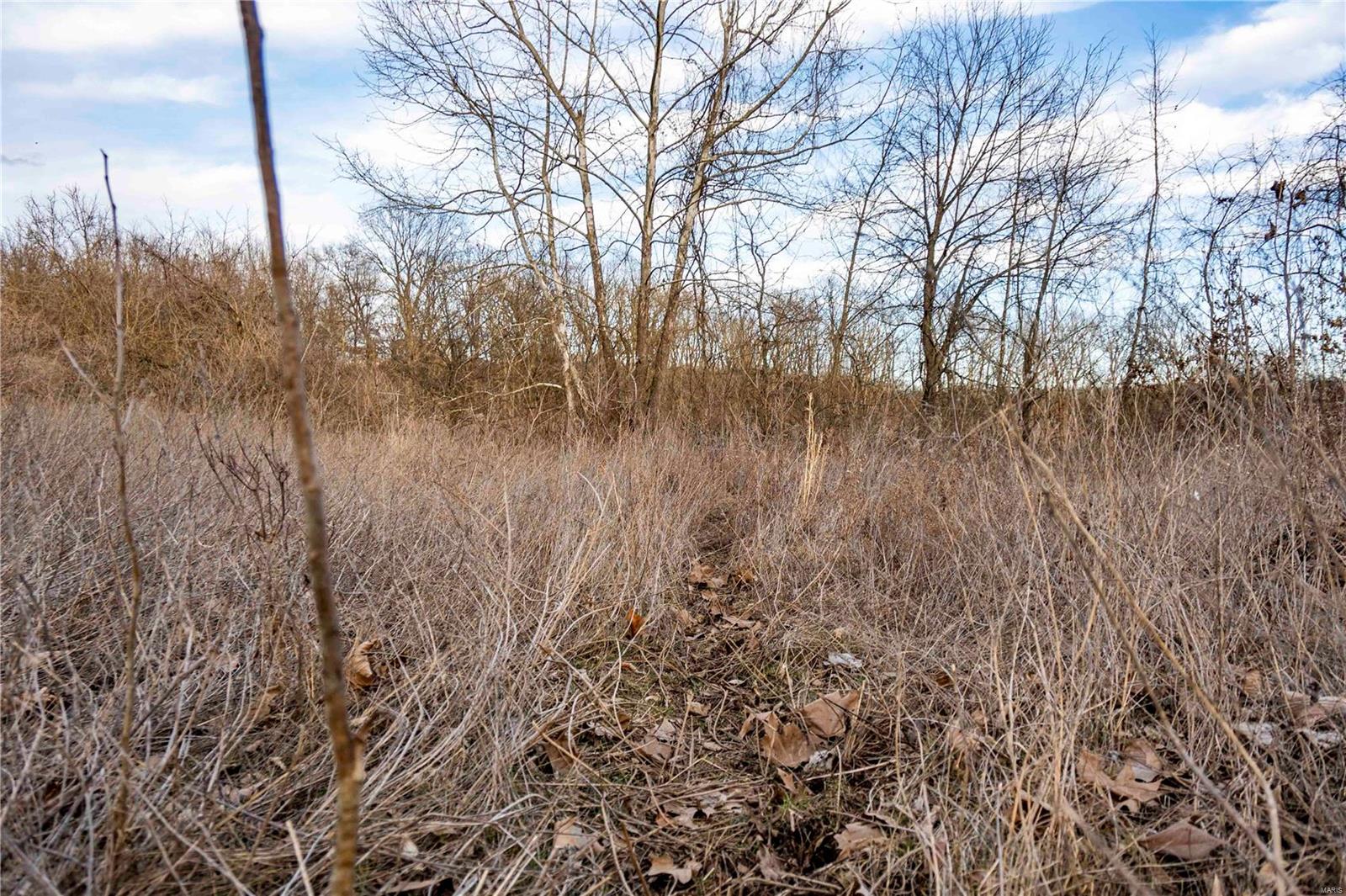 60 Spring House Lane Troy, MO 63379 - Photo 32 of 45