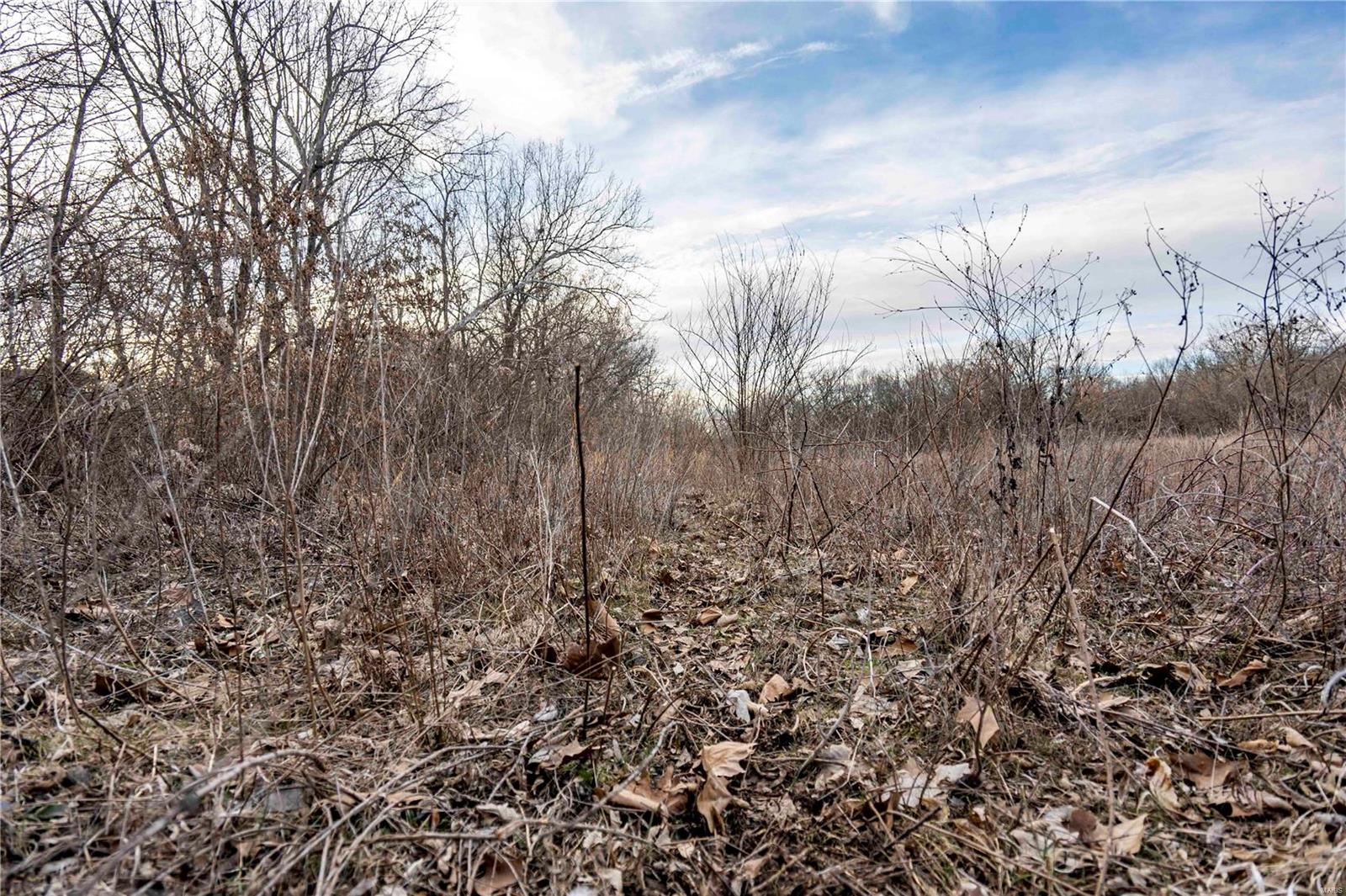 60 Spring House Lane Troy, MO 63379 - Photo 33 of 45