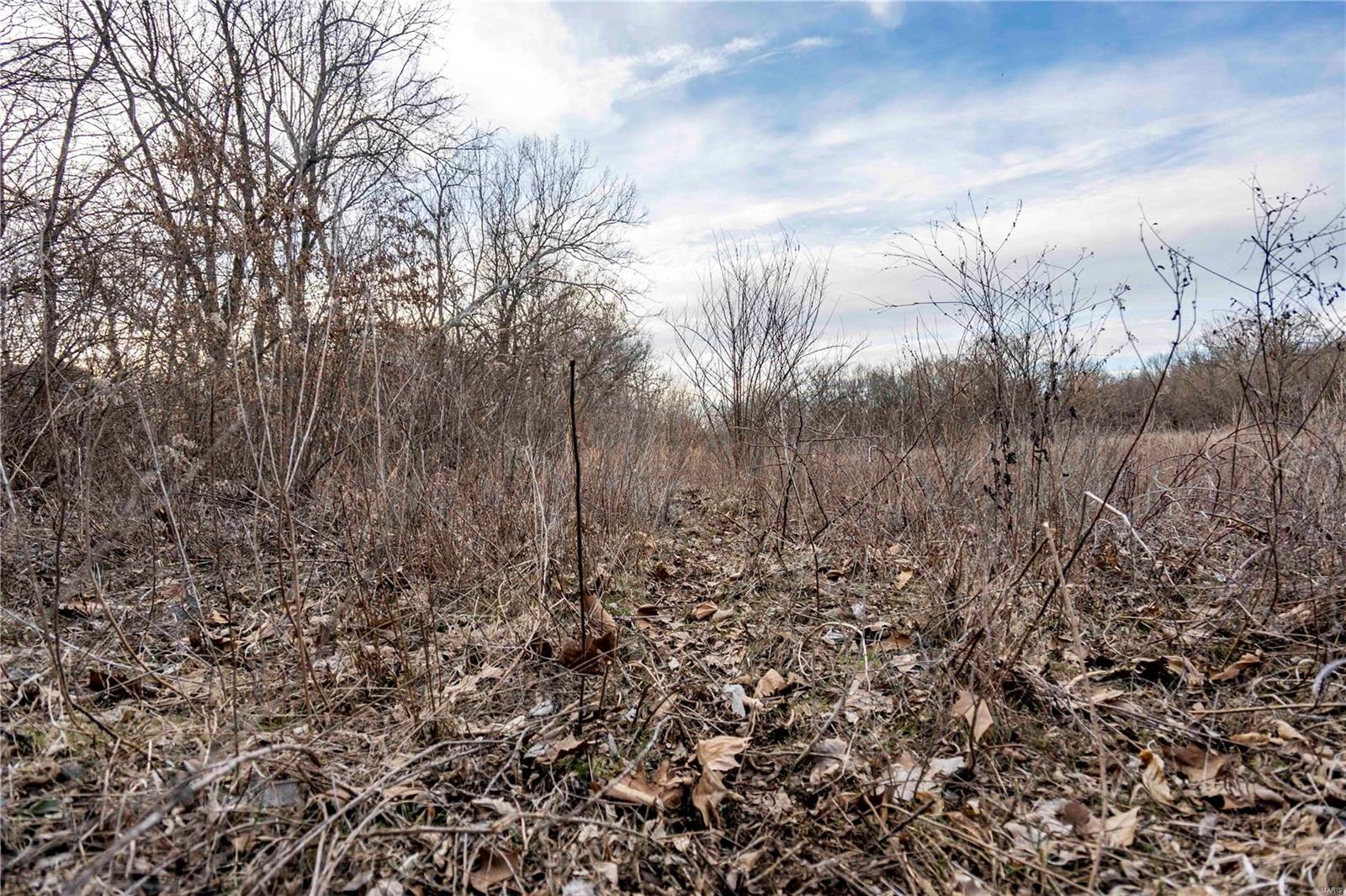 60 Spring House Lane Troy, MO 63379 - Photo 34 of 45