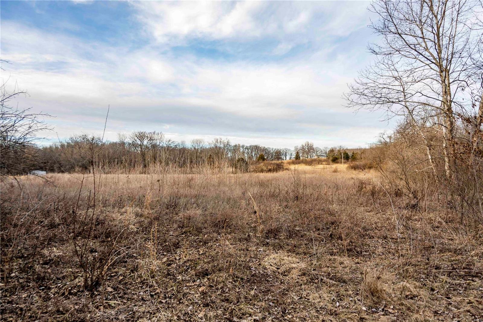 60 Spring House Lane Troy, MO 63379 - Photo 39 of 45