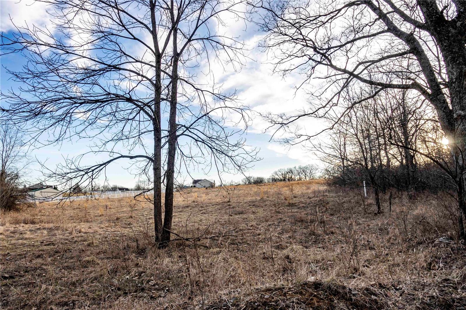 60 Spring House Lane Troy, MO 63379 - Photo 41 of 45