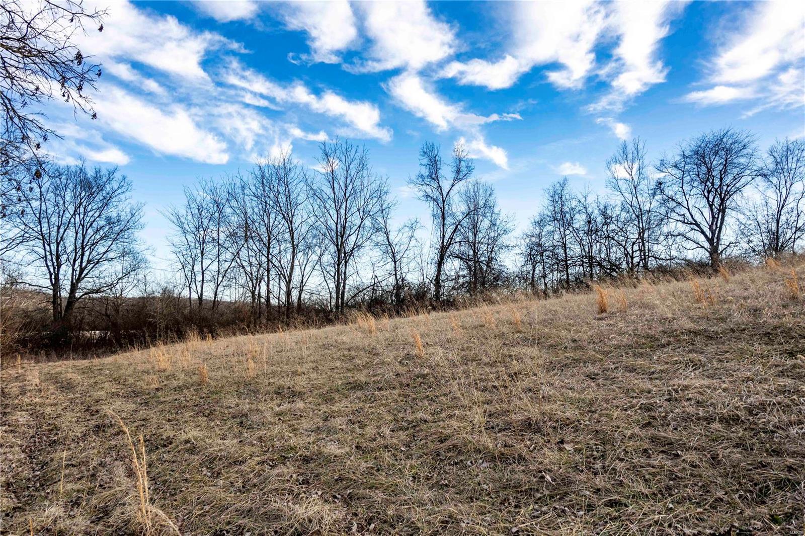 60 Spring House Lane Troy, MO 63379 - Photo 42 of 45