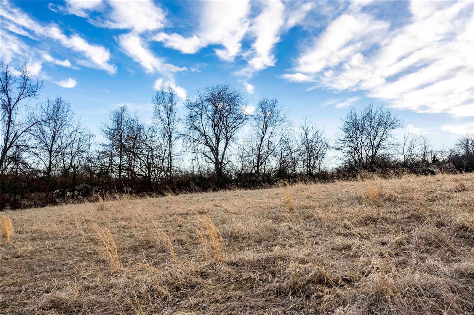 60 Spring House Lane Troy, MO 63379 - Photo 43 of 45