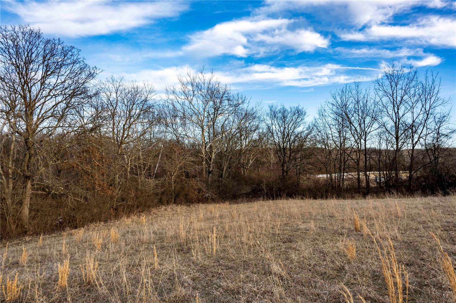 60 Spring House Lane Troy, MO 63379 - Photo 44 of 45