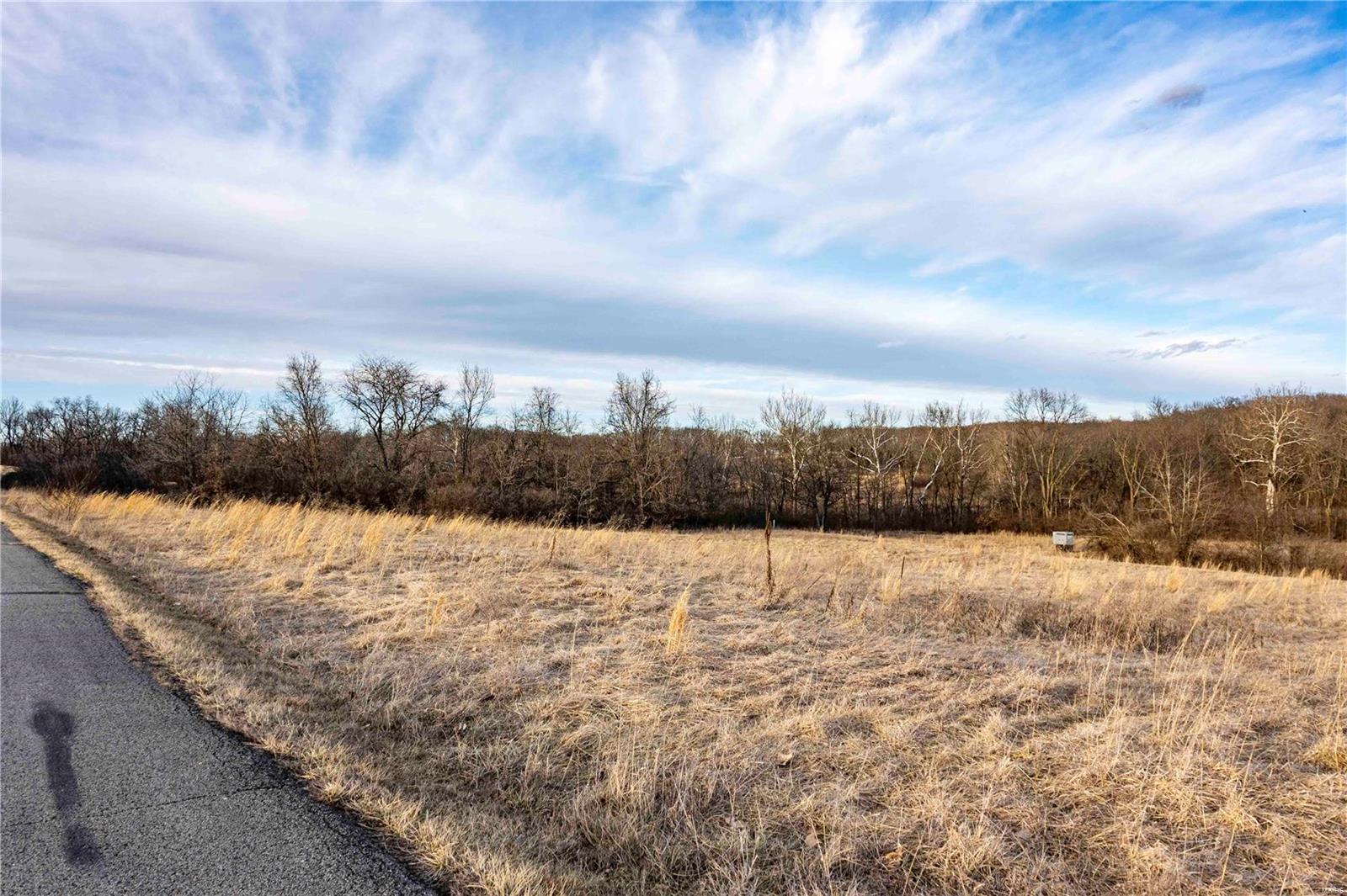 60 Spring House Lane Troy, MO 63379 - Photo 7 of 45