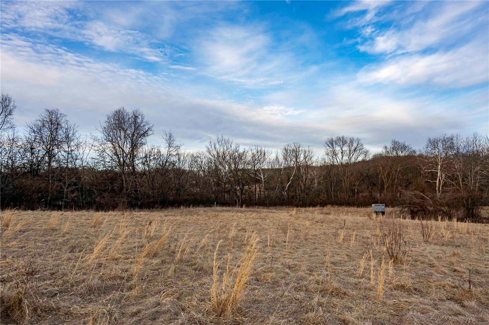 60 Spring House Lane Troy, MO 63379 - Photo 10 of 45