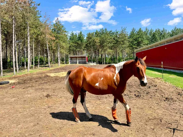 $949,900 | W4233 Porterfield Lake Road, Porterfield, WI 54159