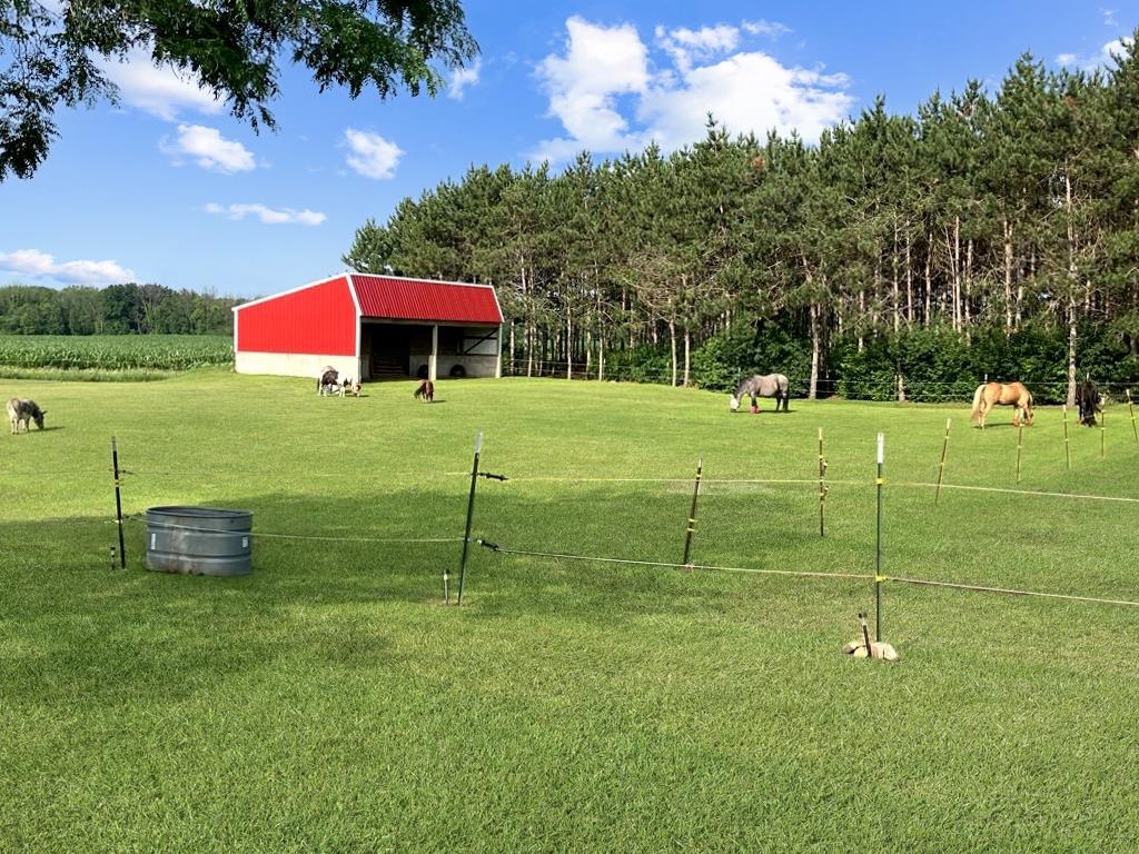 W4233 Porterfield Lake Road Porterfield, WI 54159 - Photo 24 of 82