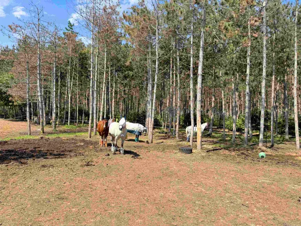 $949,900 | W4233 Porterfield Lake Road, Porterfield, WI 54159