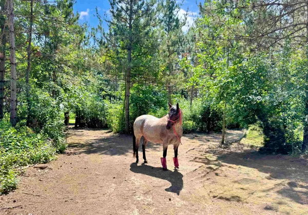 $949,900 | W4233 Porterfield Lake Road, Porterfield, WI 54159