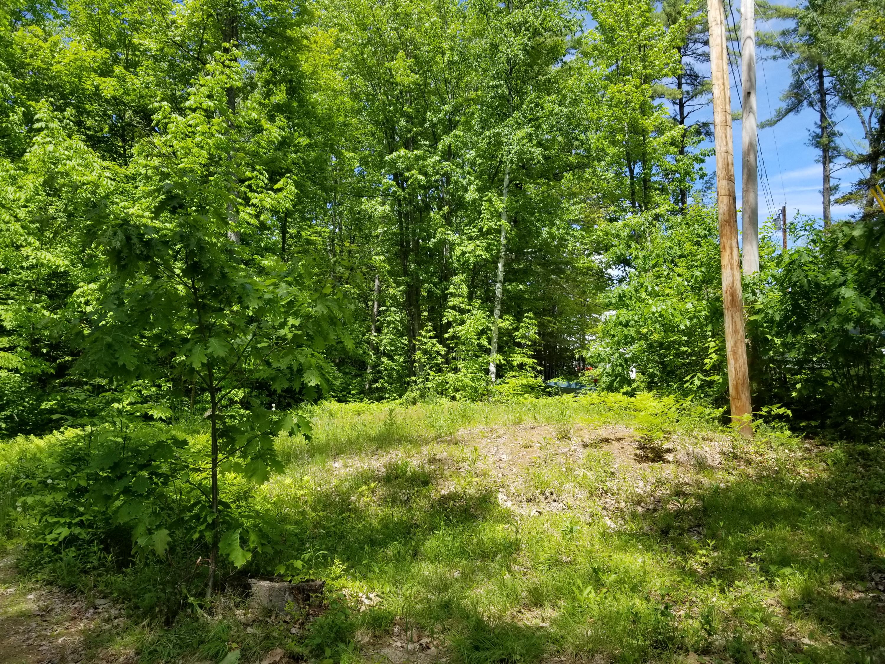 39 Lapointe Road Peru, ME 04290 - Photo 41 of 41 location of leach field