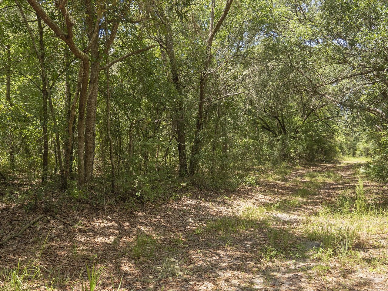 Vacant Southwest Hike Lake Road Madison, FL 32340 - Photo 16 of 35
