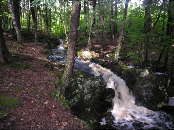 Cleveland Hill Road Tamworth, NH 03886 - Photo 1 of 1 Gallery Image 1