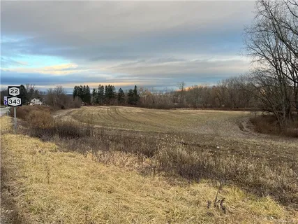 a view of a dry yard with trees
