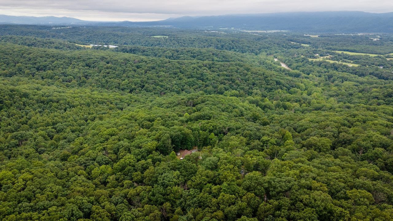 159 Park View Shenandoah, VA 22849 - Photo 47 of 70 a view of a lush green forest with trees and houses
