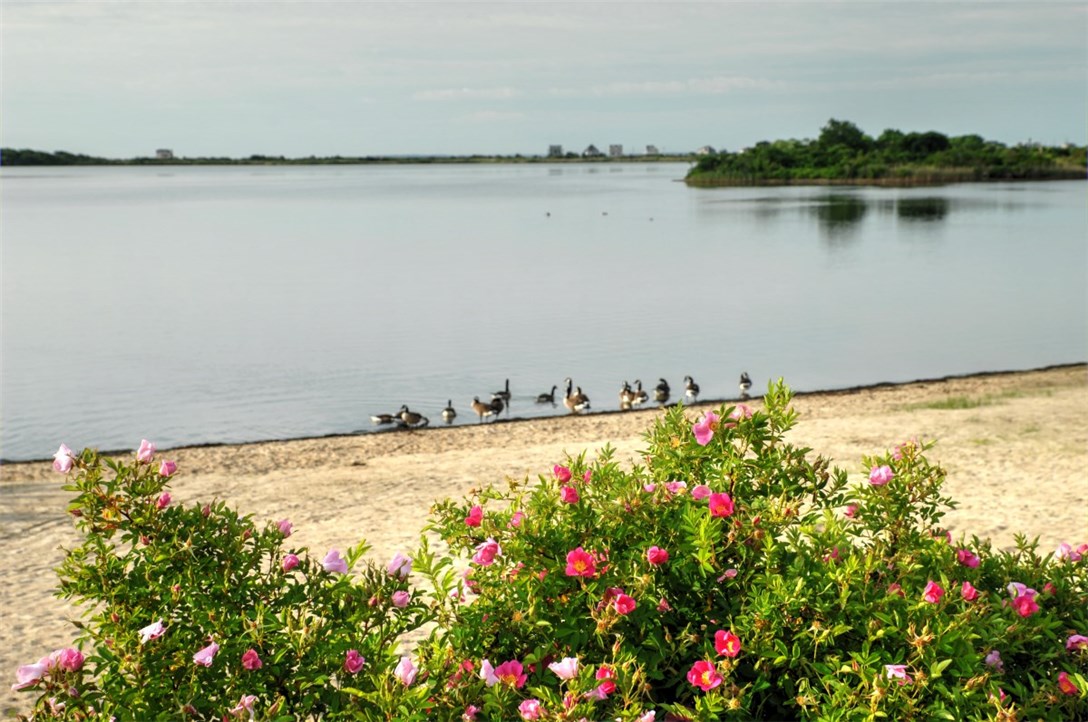 61 Laurel Road South Kingstown, RI 02879 - Photo 28 of 29