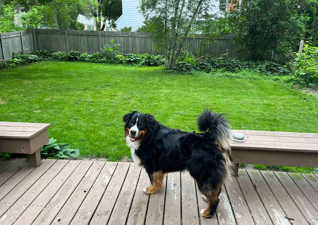 $749,000 | 4186 Nakoma Road, Madison, WI 53711