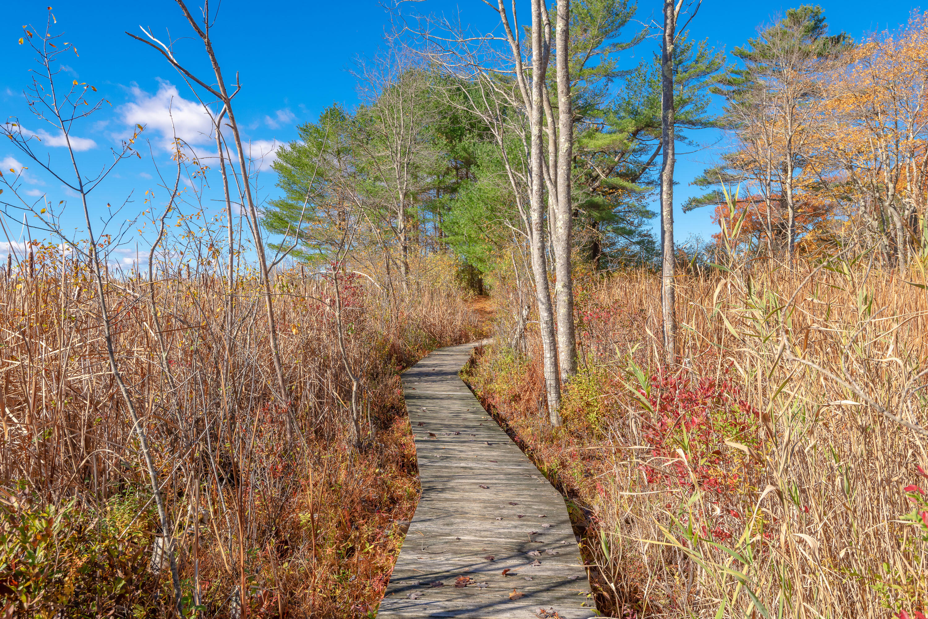 16 Captains Way Kittery Point, ME 03905 - Photo 9 of 42 Boardwalk