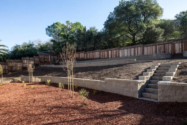 a view of a backyard