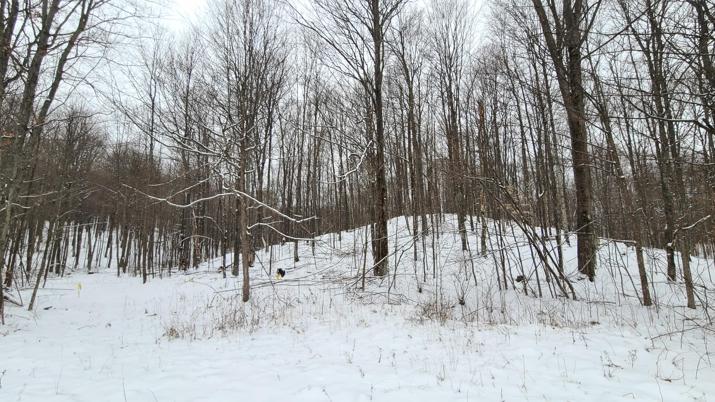9089 Pine Grove Road Atlanta, MI 49709 - Photo 1 of 16 Gallery Image 1