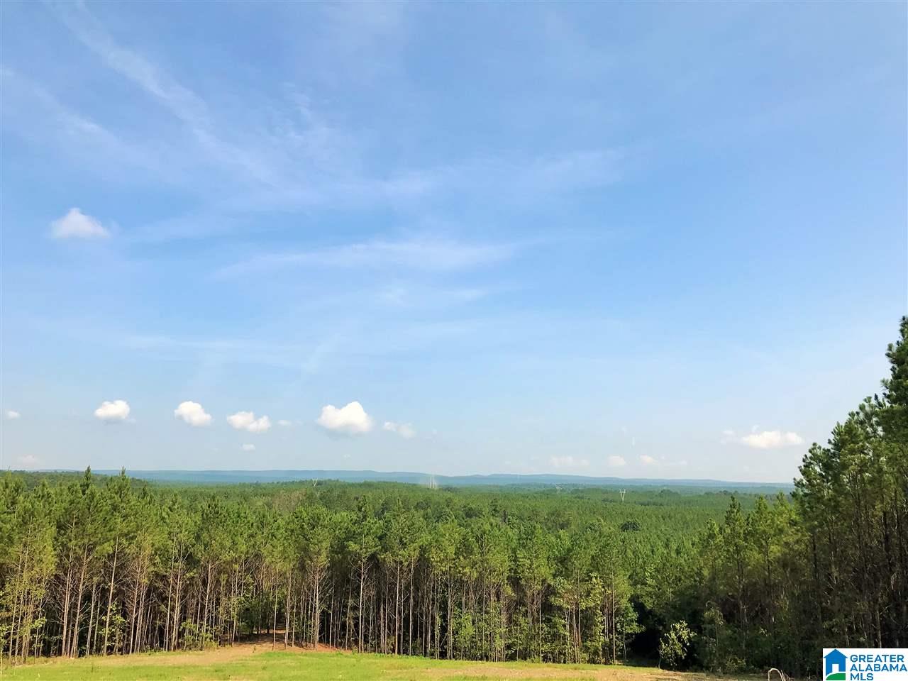 282 Highway 69, Unit 9 Chelsea, AL 35043 - Photo 2 of 7