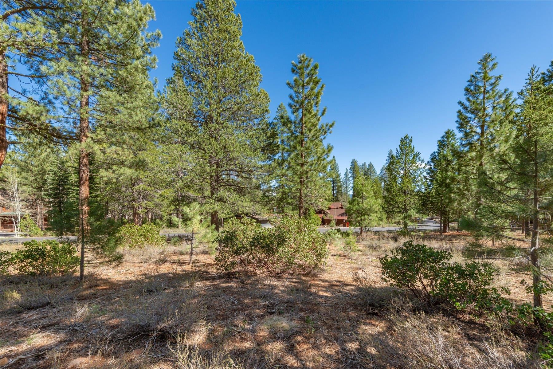 11850 Bottcher Loop Truckee, CA 96161 - Photo 12 of 18 a view of a yard with plants and a trees