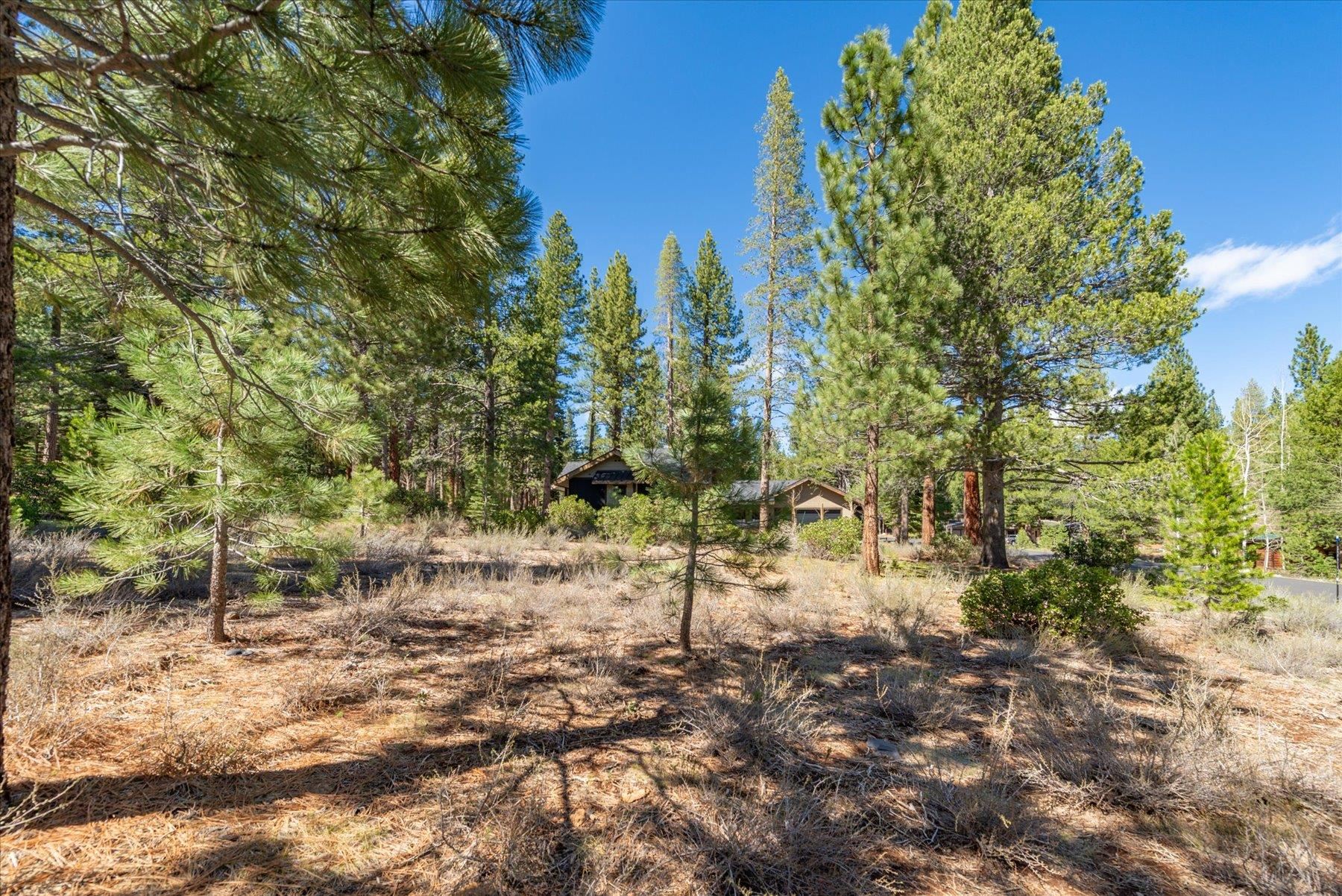 11850 Bottcher Loop Truckee, CA 96161 - Photo 15 of 18 a view of yard