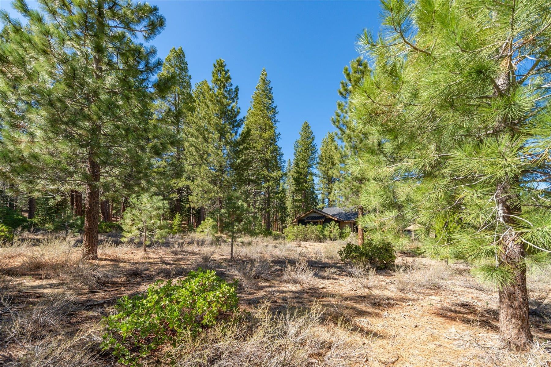 11850 Bottcher Loop Truckee, CA 96161 - Photo 16 of 18 a view of a yard with plants and trees