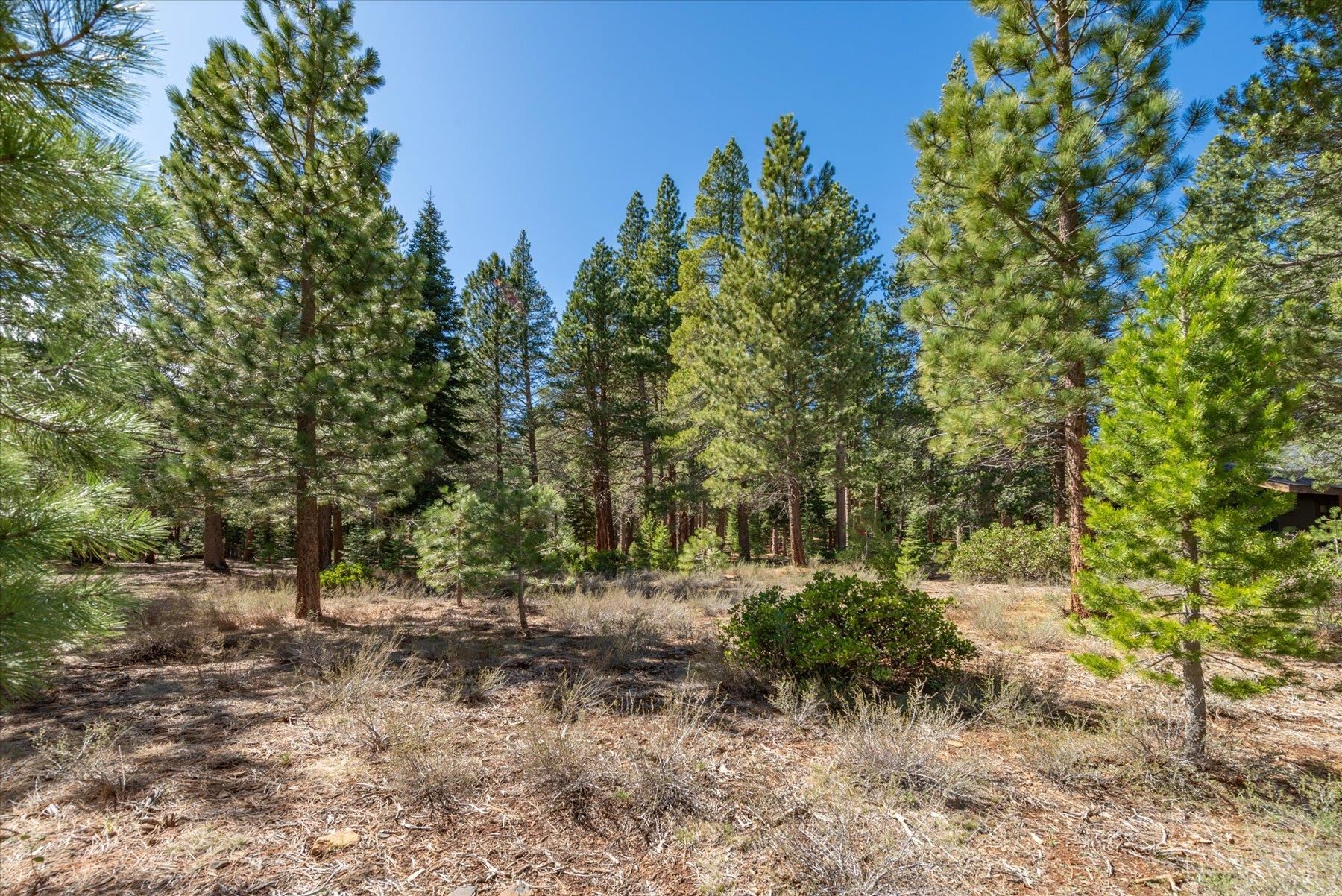 11850 Bottcher Loop Truckee, CA 96161 - Photo 17 of 18 a big yard with lots of green space and house