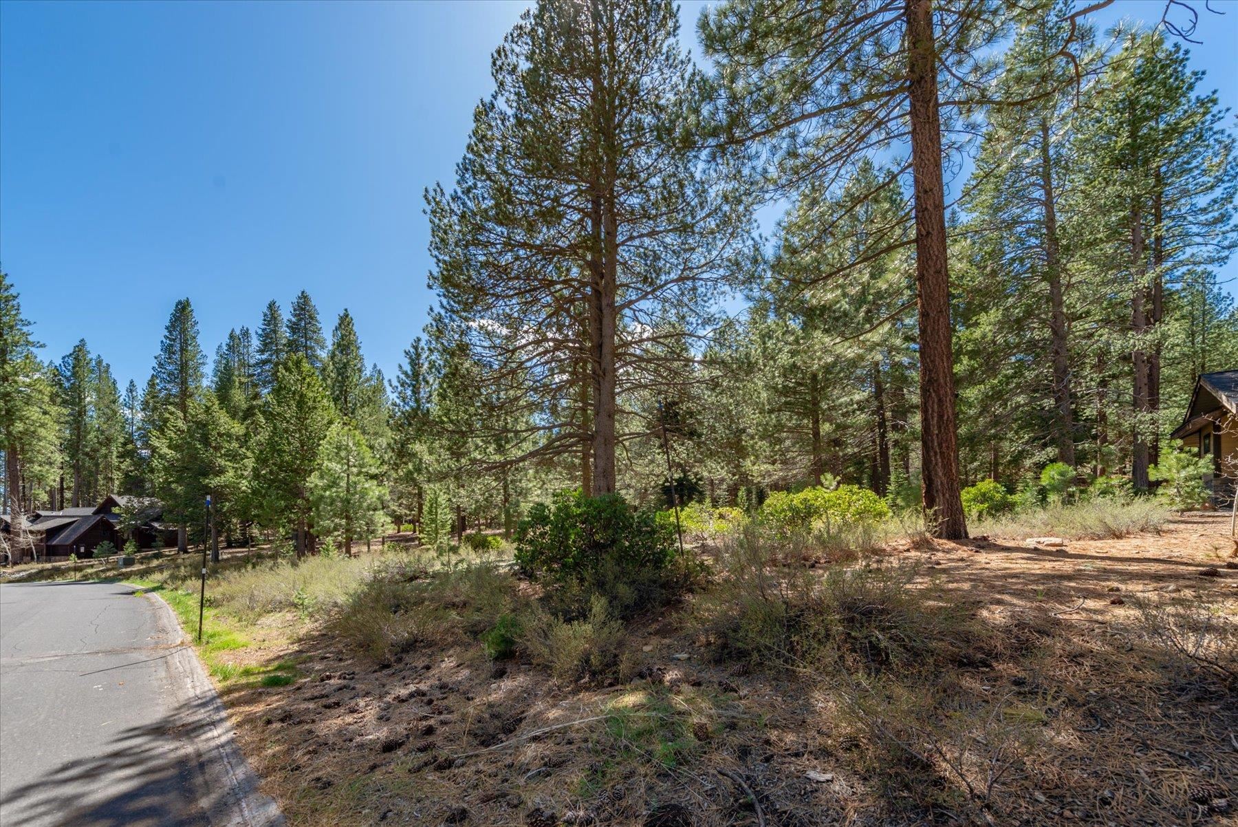 11850 Bottcher Loop Truckee, CA 96161 - Photo 3 of 18 a view of a yard with plants and trees
