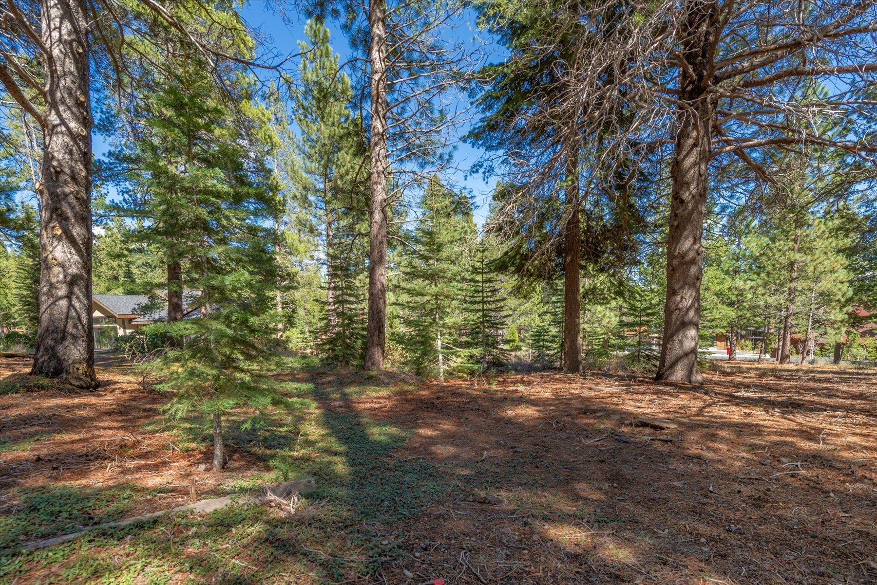 11850 Bottcher Loop Truckee, CA 96161 - Photo 4 of 18 a view of outdoor space and yard