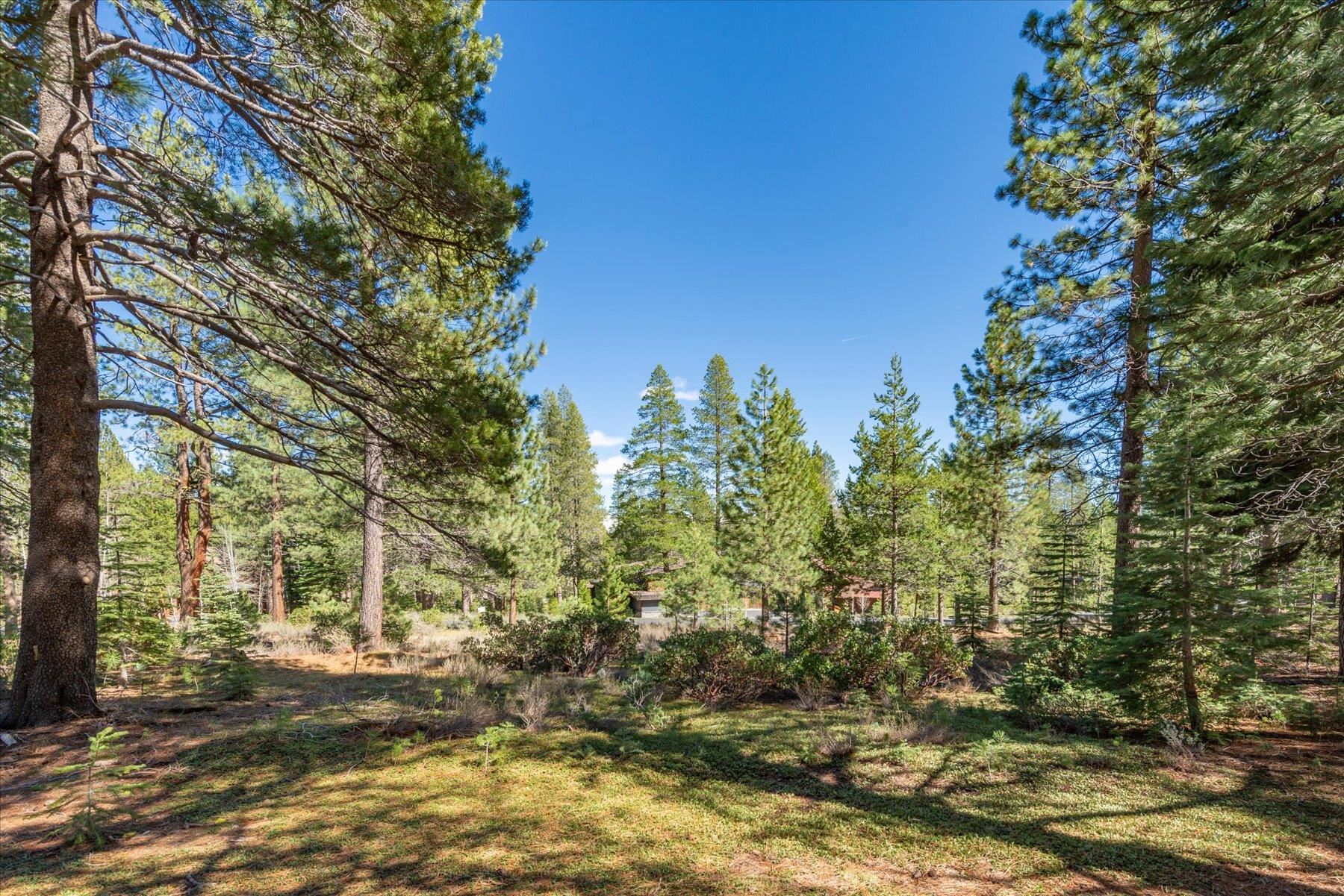 11850 Bottcher Loop Truckee, CA 96161 - Photo 5 of 18 a view of a yard with plants and large trees