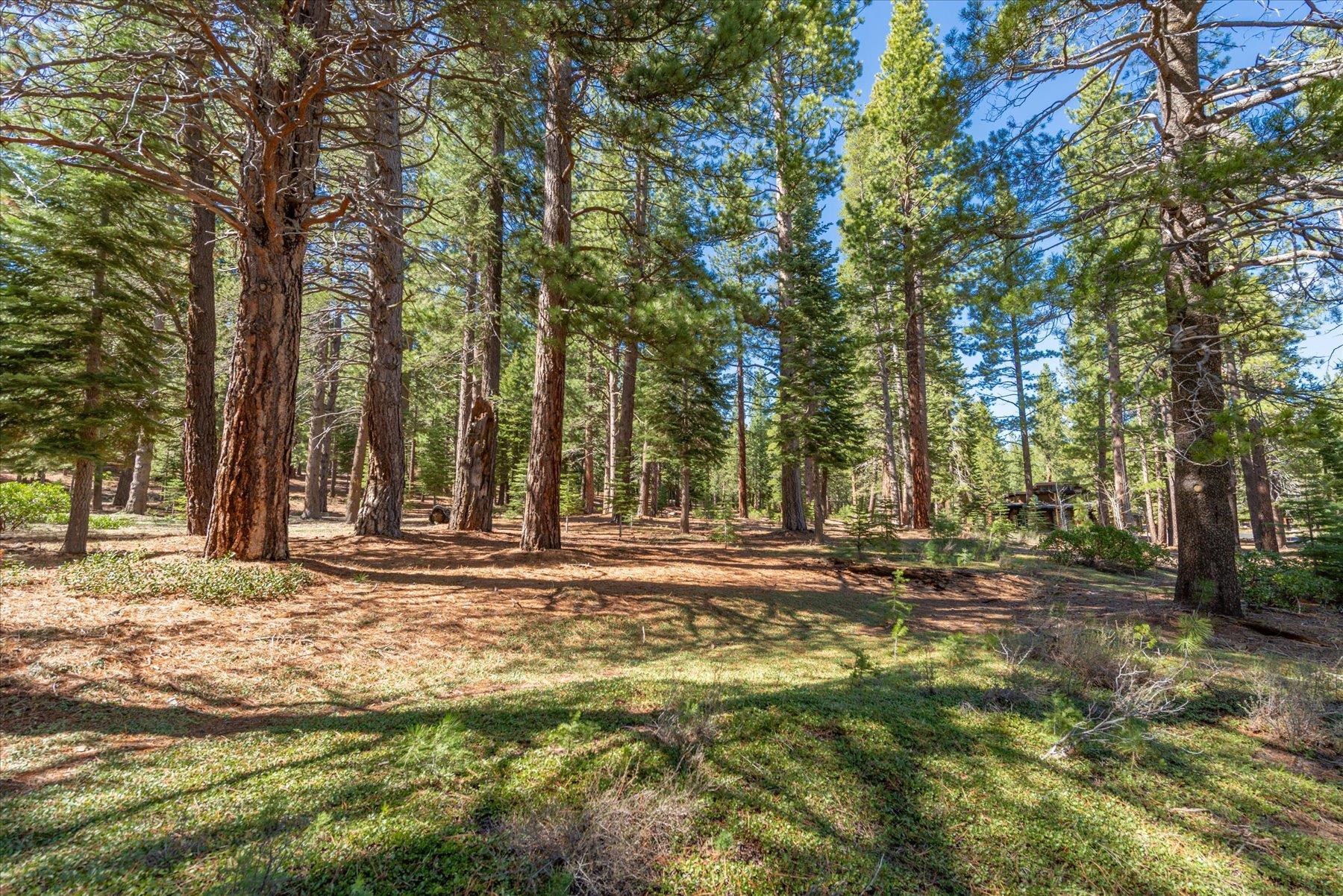 11850 Bottcher Loop Truckee, CA 96161 - Photo 9 of 18 a backyard of a house with trees and houses