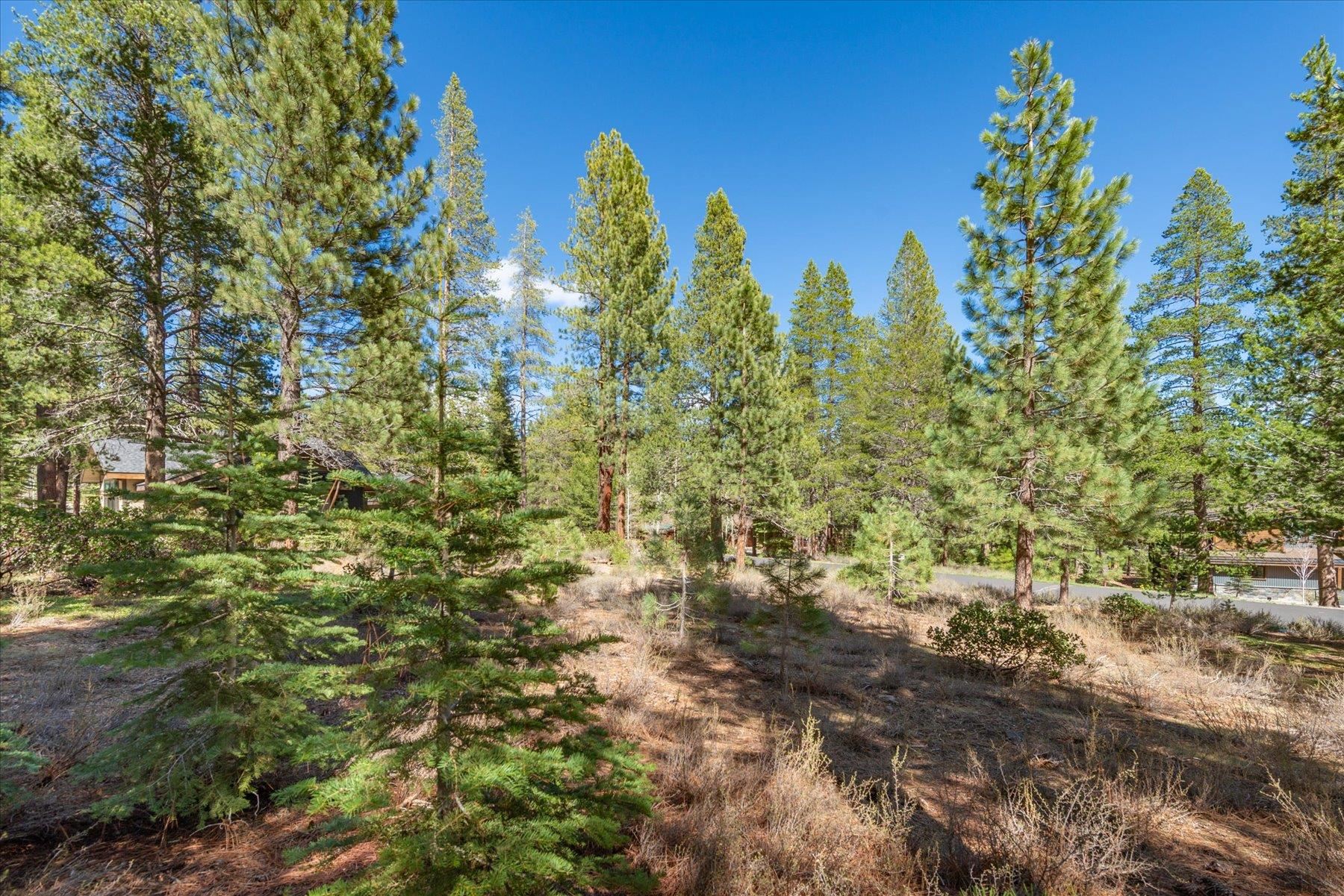 11850 Bottcher Loop Truckee, CA 96161 - Photo 10 of 18 a view of a city