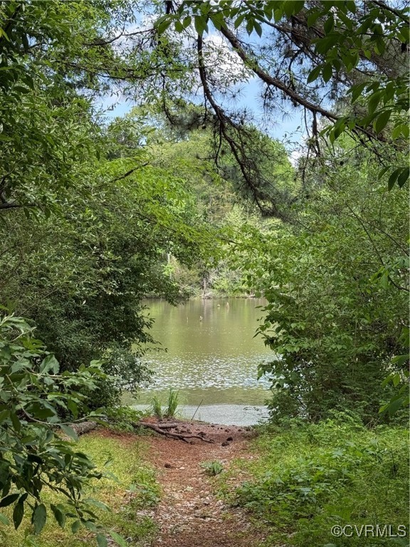 Tbd Abilene Road Farmville, VA 23901 - Photo 11 of 29 a view of a lake from a yard