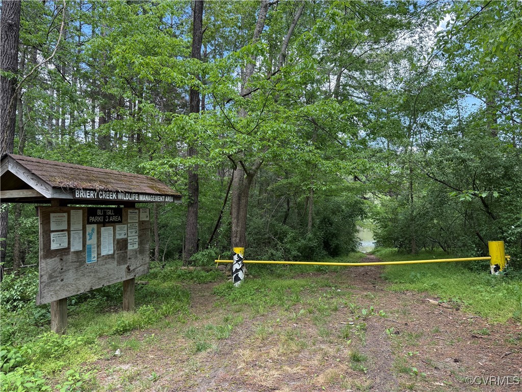 Tbd Abilene Road Farmville, VA 23901 - Photo 10 of 29 a view of a park