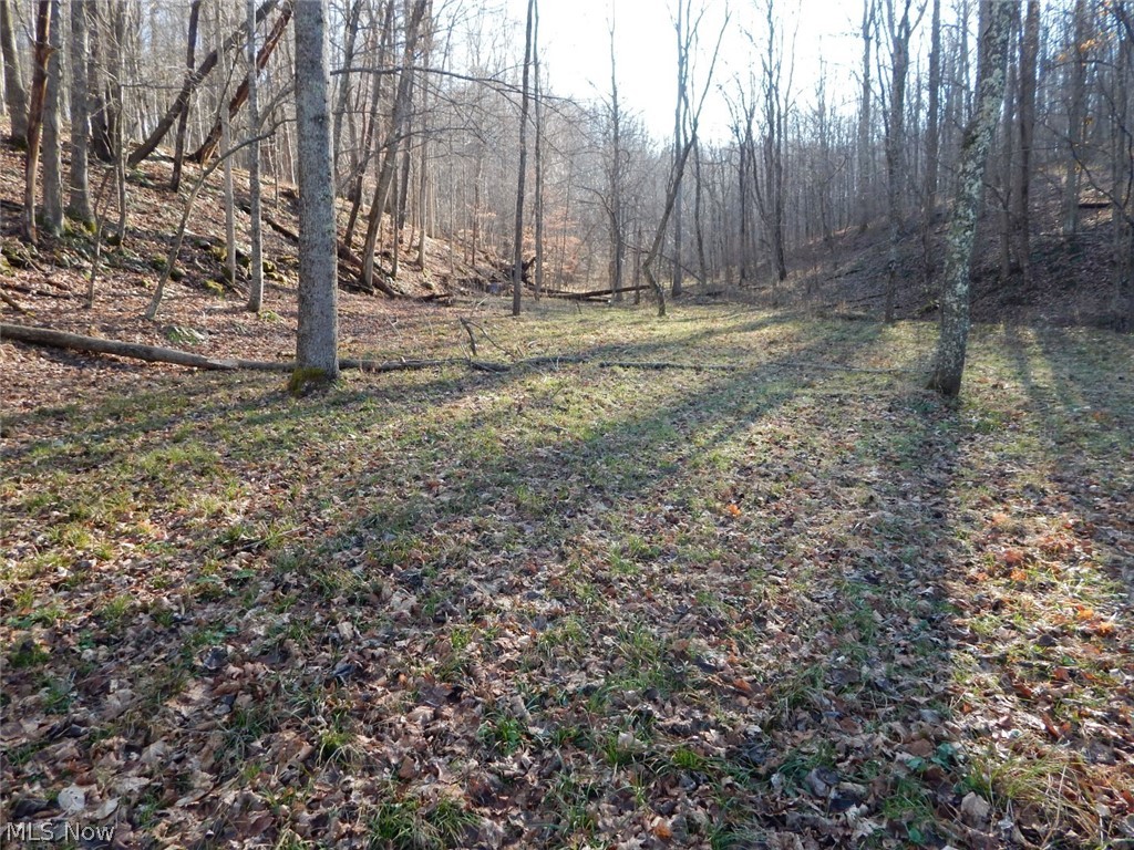 Mt Zion Road Harrisville, WV 26362 - Photo 5 of 23