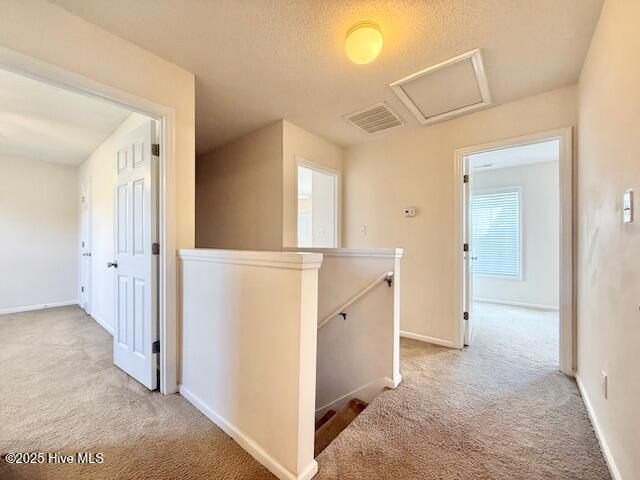 1120 Ben Williams Road Richlands, NC 28574 - Photo 12 of 31 IMG_4082